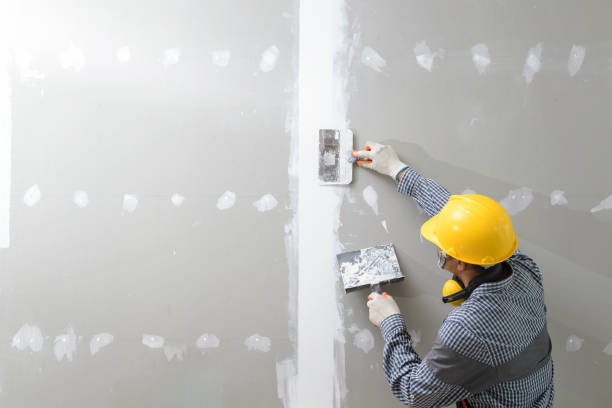 Marlow Heights, MD Mold Removal Company