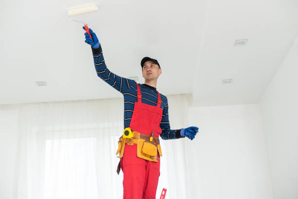 Best Water Damage & Mold Remediation  in Marlow Heights, MD