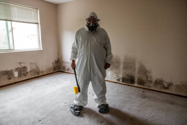 Best Post-Construction Mold Inspection  in Marlow Heights, MD